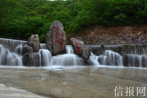 云南镇沅:乡村振兴路上的“金”果子